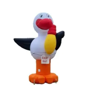 geboorte aankondiging